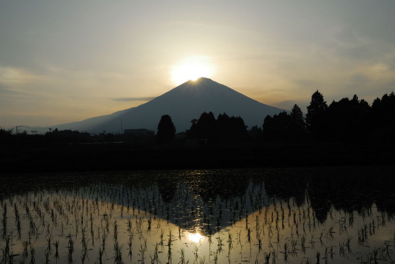 富士山画像記録