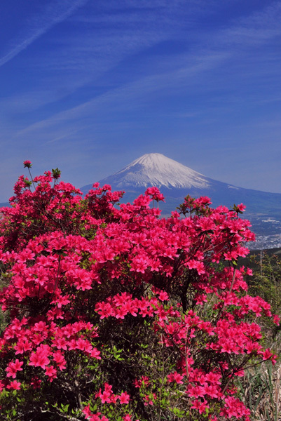 富士山画像作品