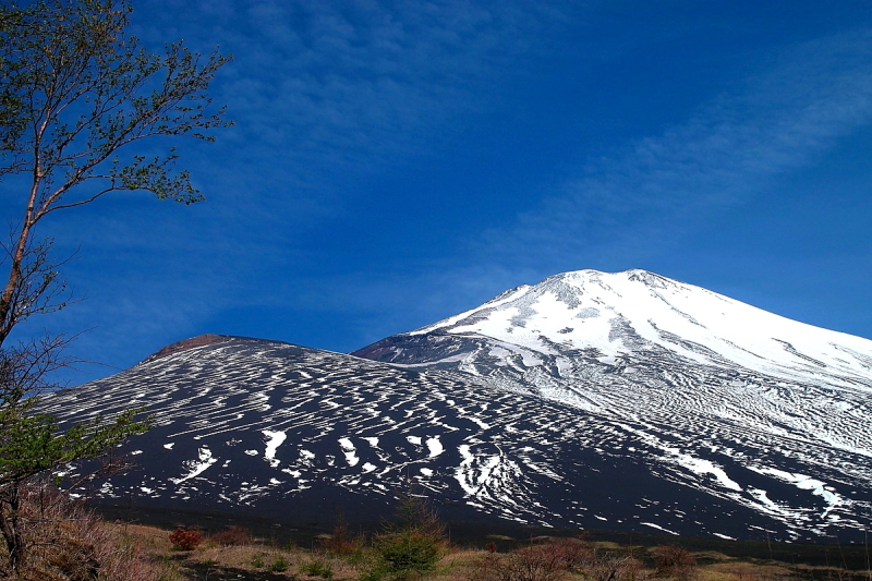 富士山画像作品