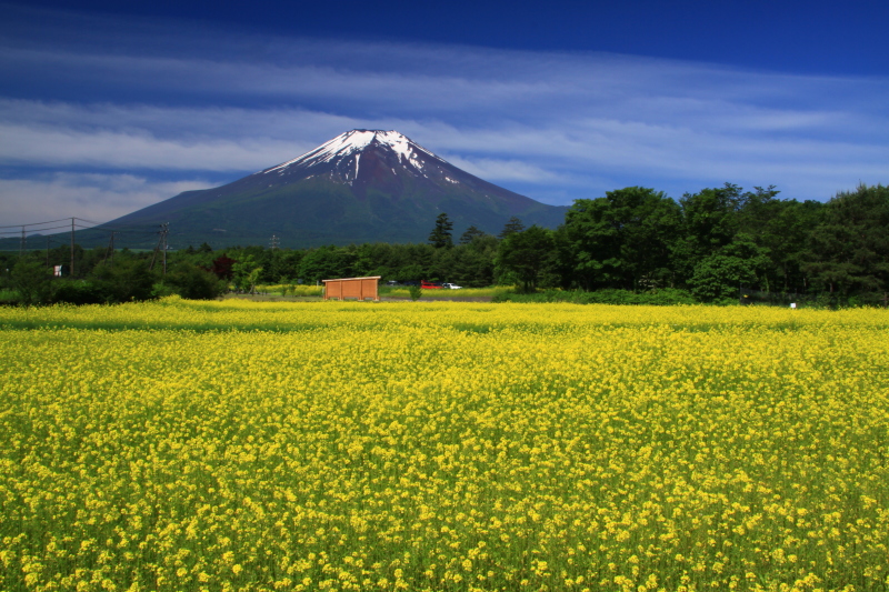 富士山画像記録