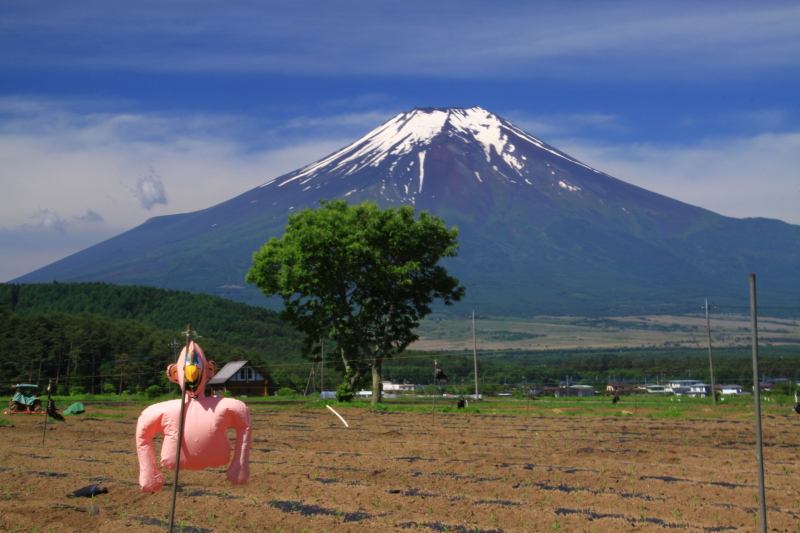 富士山画像記録