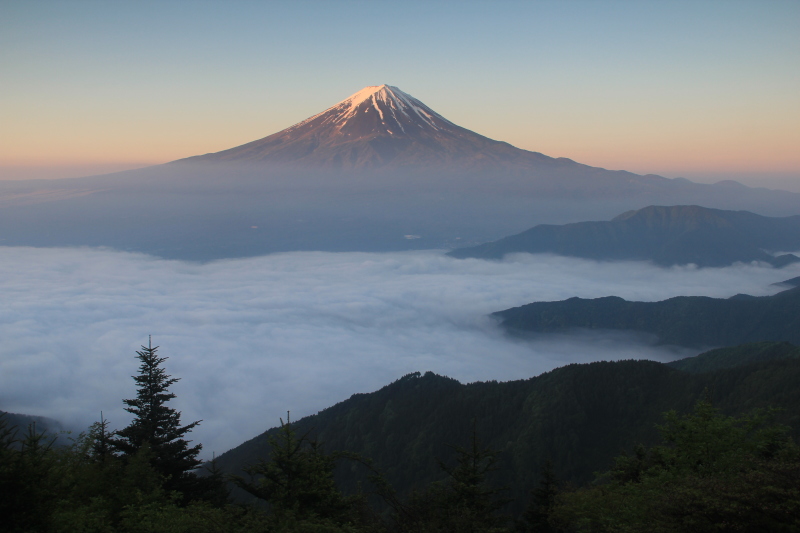 富士山画像記録