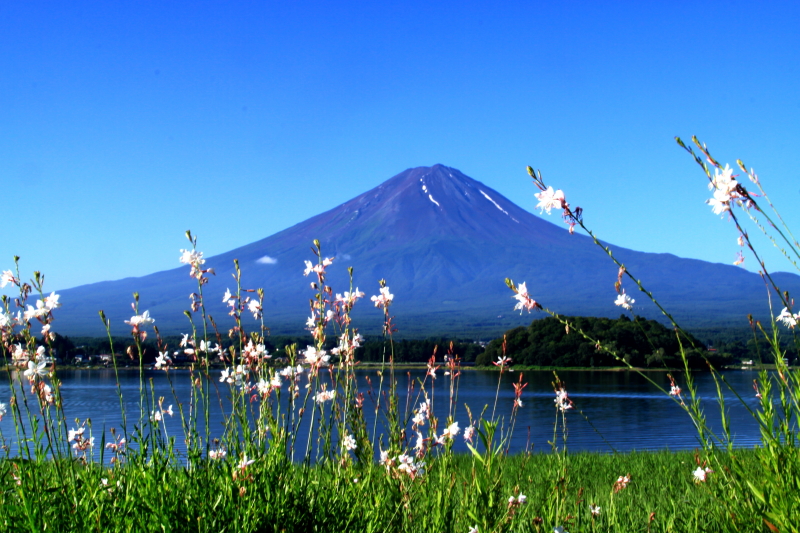 富士山画像作品