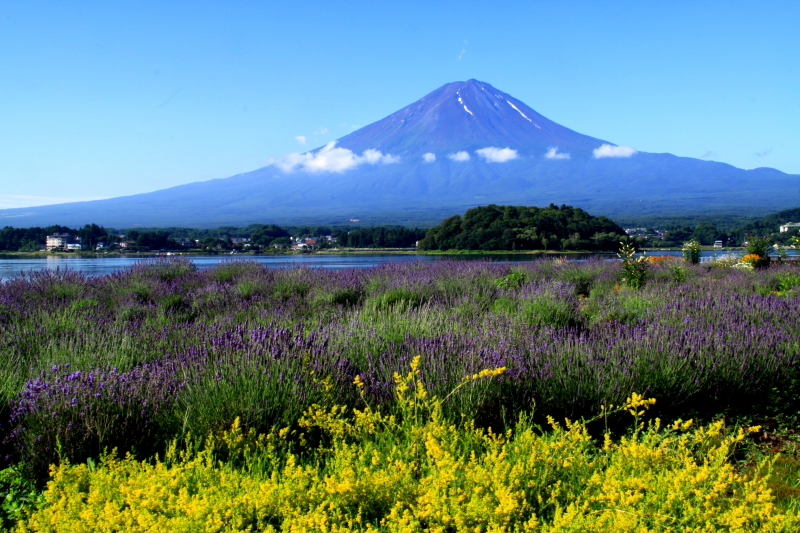 富士山画像記録