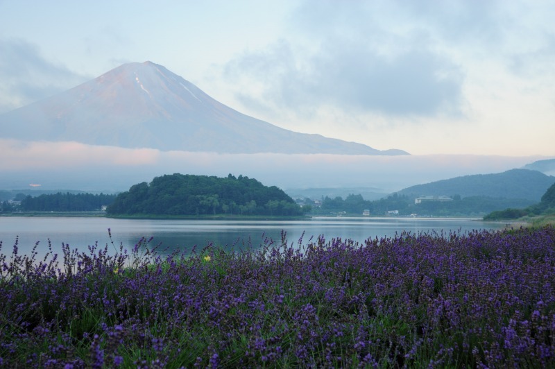 富士山画像作品