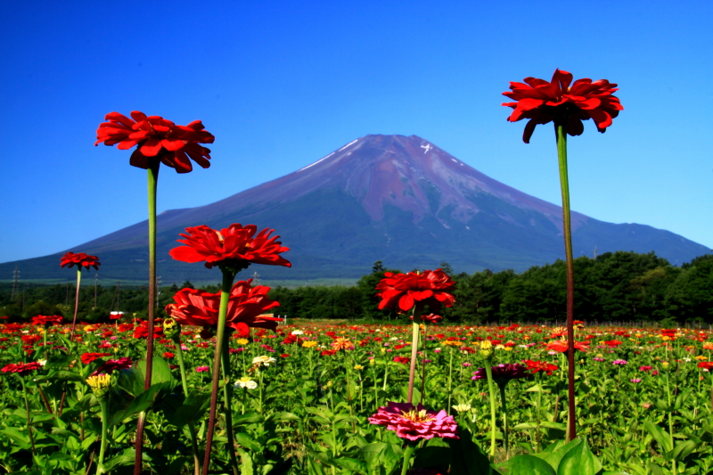 富士山画像記録