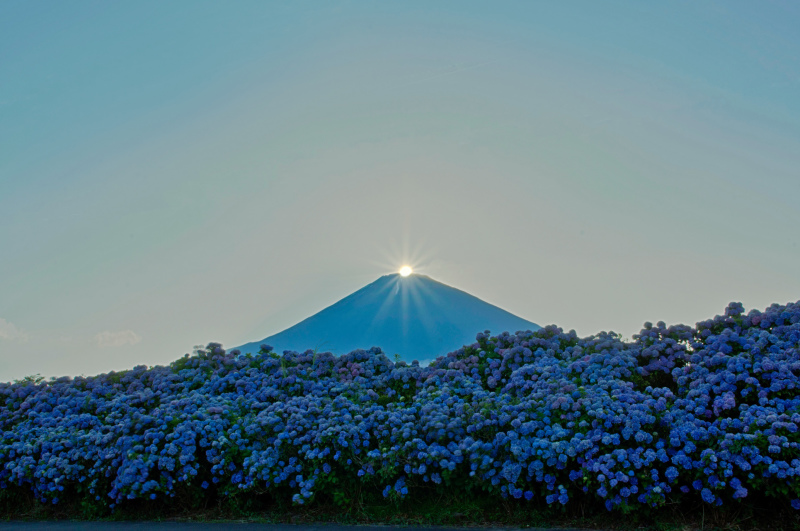 富士山画像記録