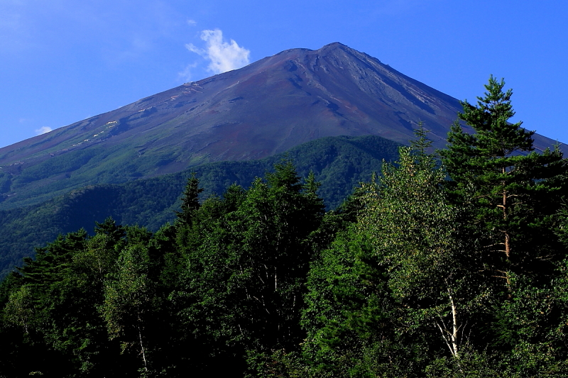 富士山画像記録