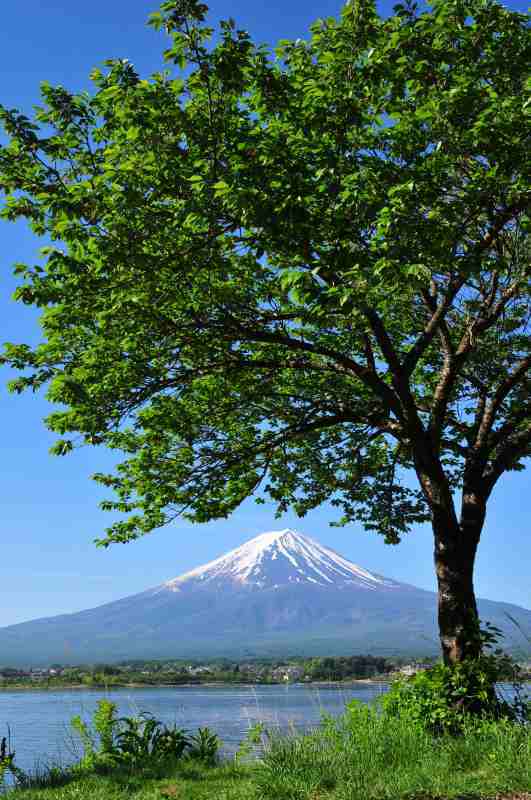 富士山画像作品