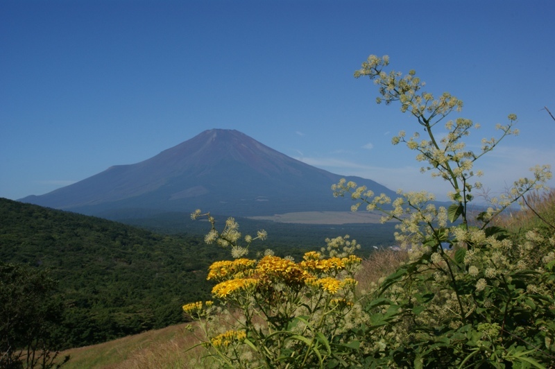 富士山画像記録