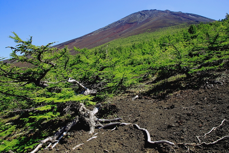 富士山画像記録