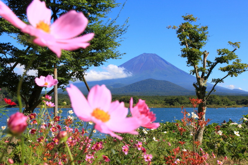 富士山画像作品