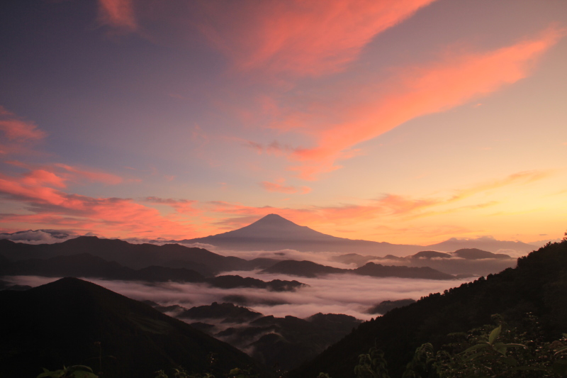 富士山画像記録