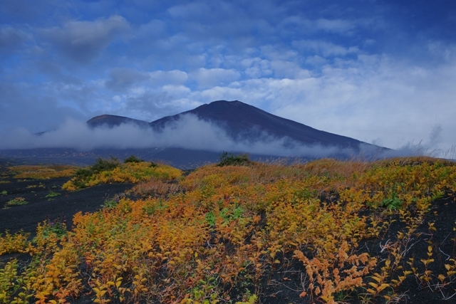 富士山画像作品