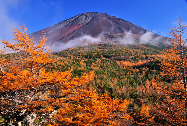 富士山画像作品