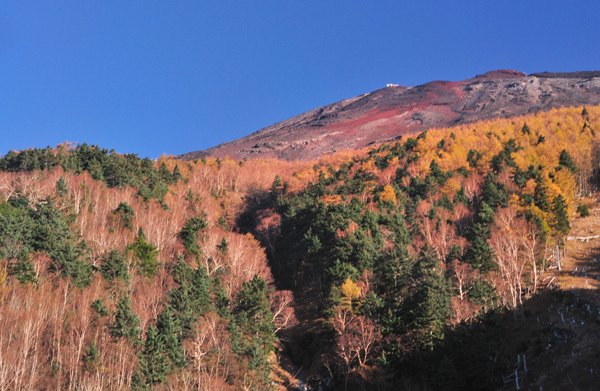 富士山画像作品