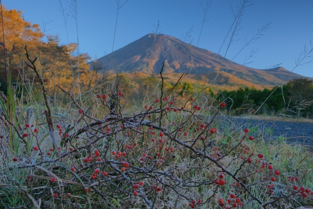 富士山画像作品