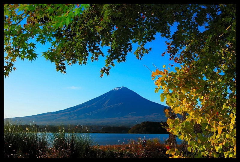 富士山画像記録