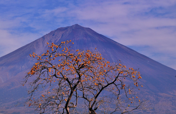 富士山画像作品