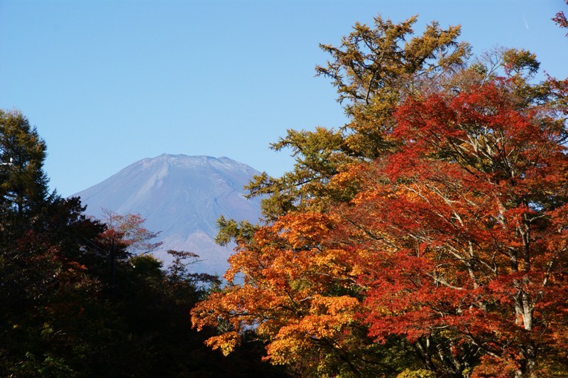 富士山画像記録