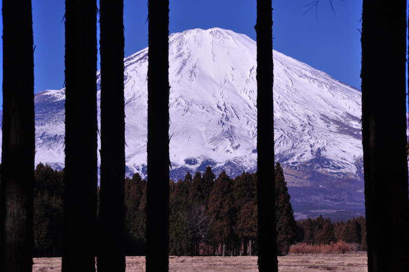 富士山画像作品