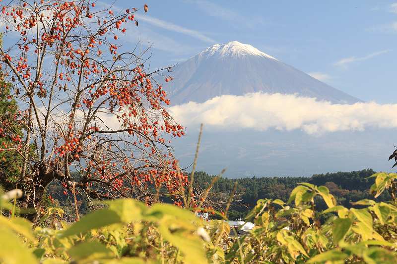 富士山画像記録