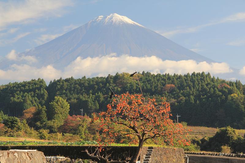 富士山画像記録