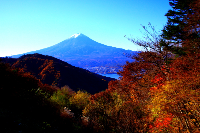 富士山画像記録