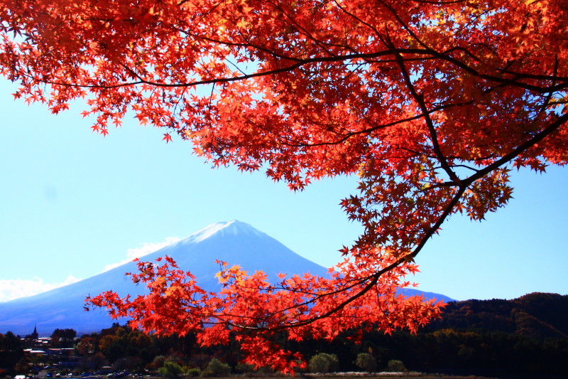 富士山画像記録