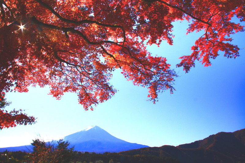 富士山画像記録