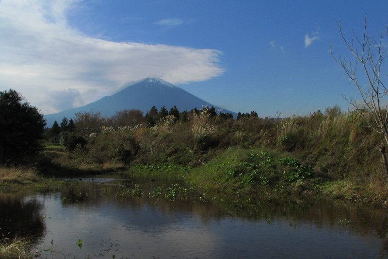 富士山画像記録