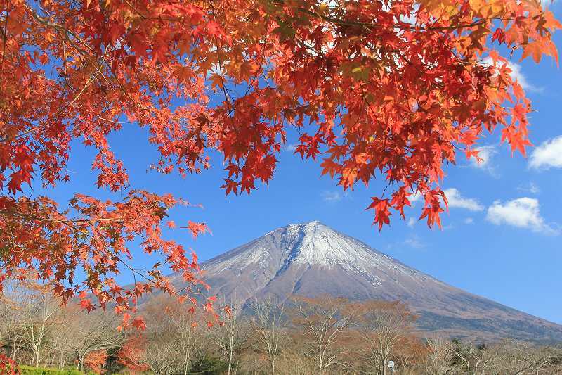 富士山画像記録