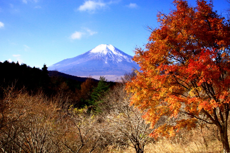 富士山画像記録