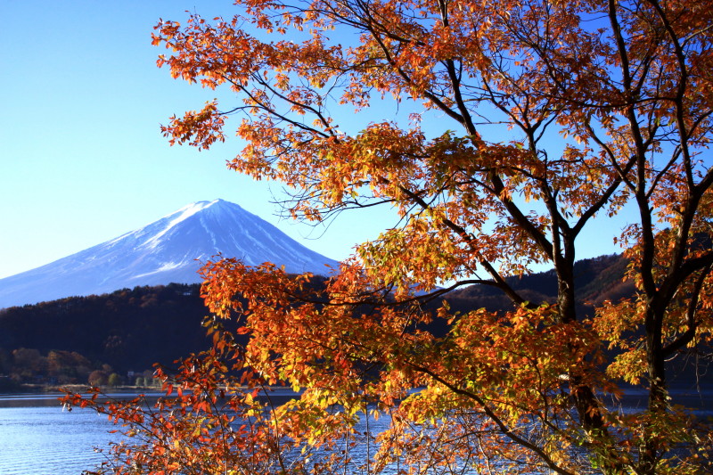 富士山画像記録