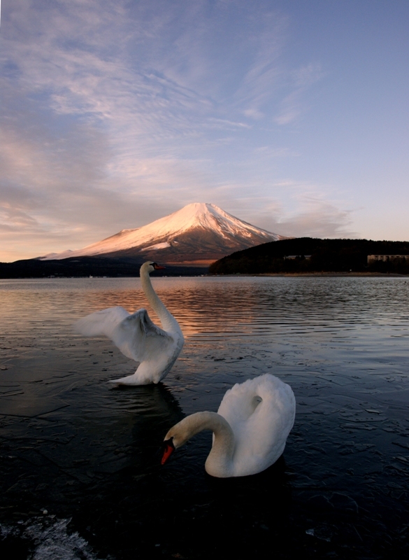 富士山画像記録