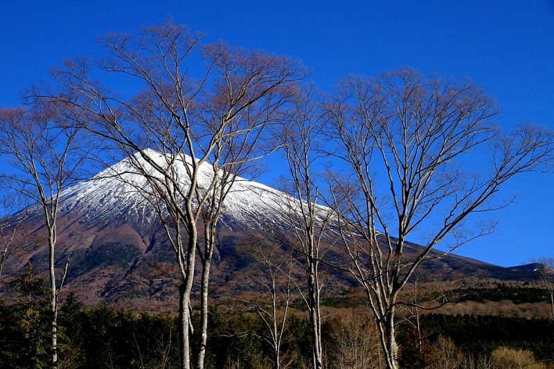 富士山画像作品