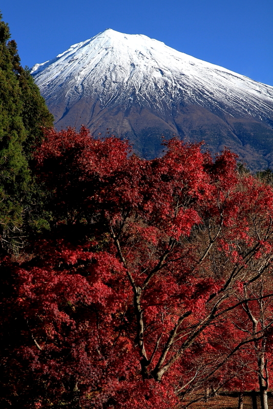 富士山画像作品