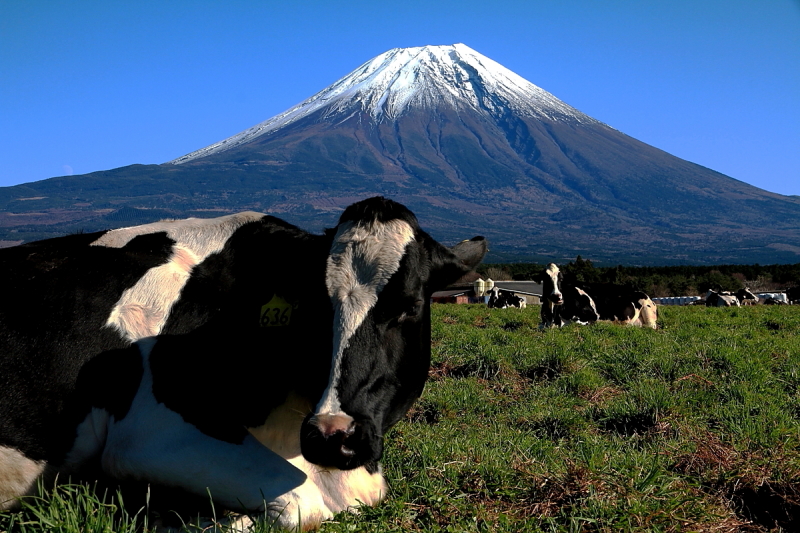 富士山画像作品