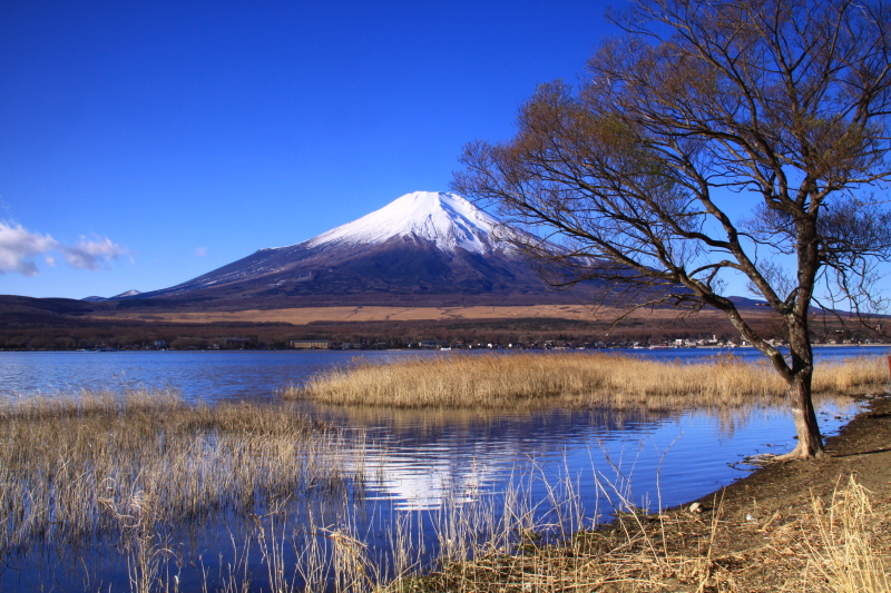 富士山画像記録