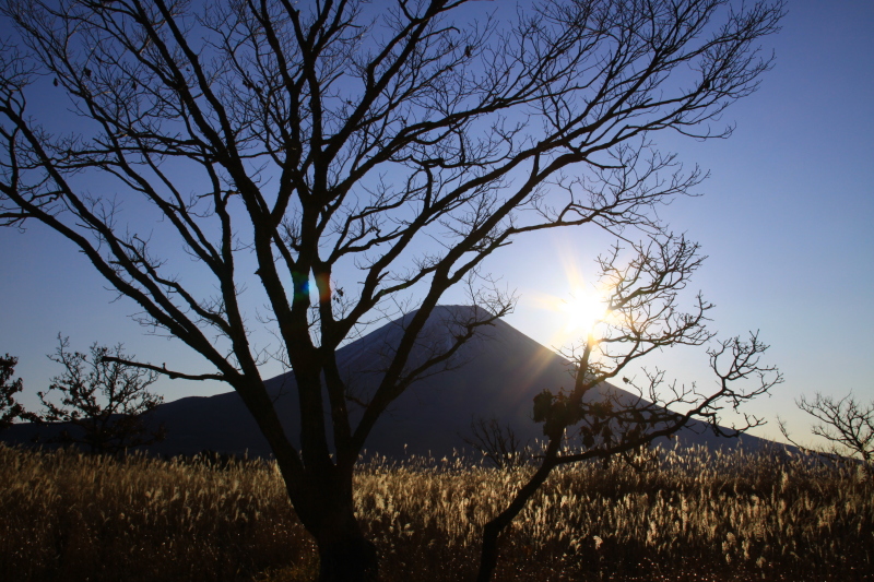 富士山画像記録