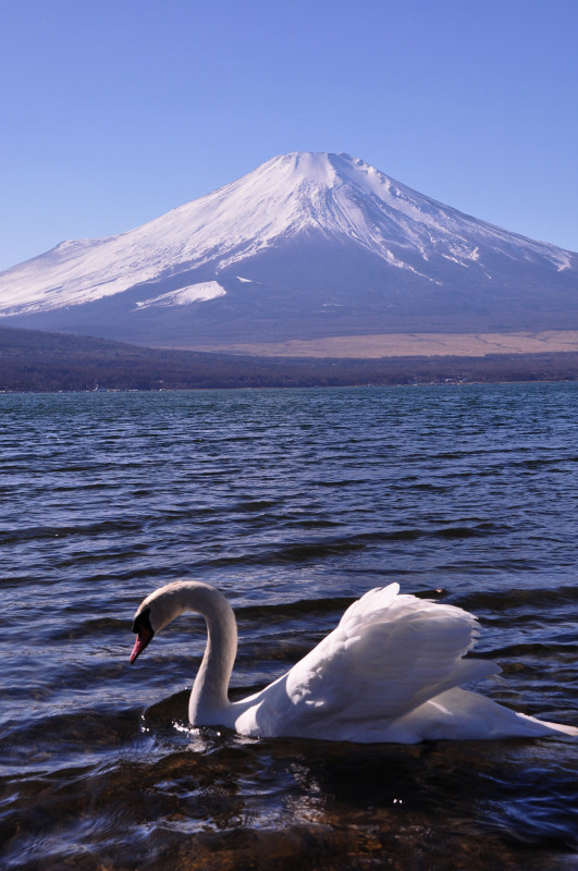 富士山画像作品