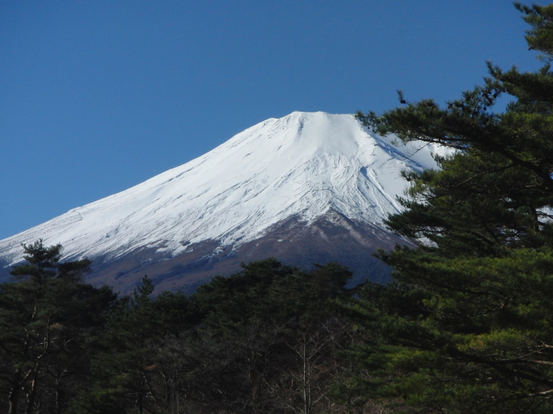 富士山画像記録