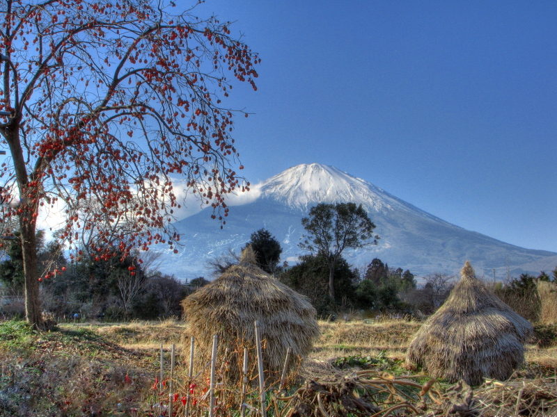 富士山画像作品