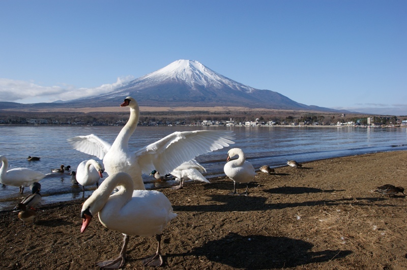 富士山画像記録