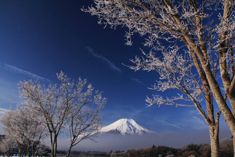 富士山画像記録