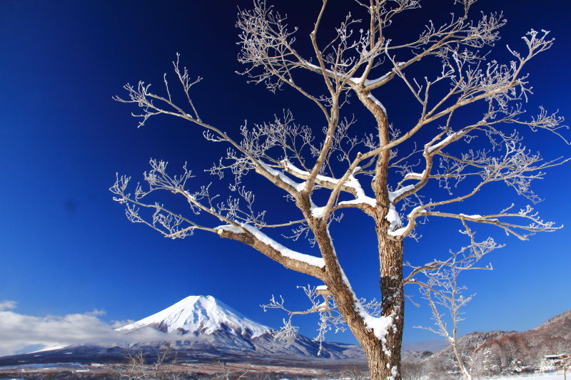 富士山画像記録