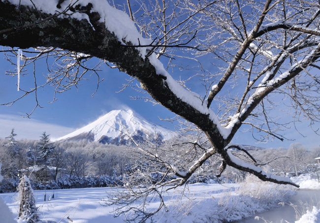 富士山画像作品