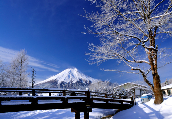 富士山画像作品