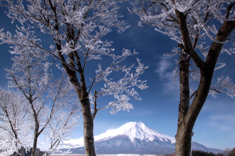 富士山画像記録