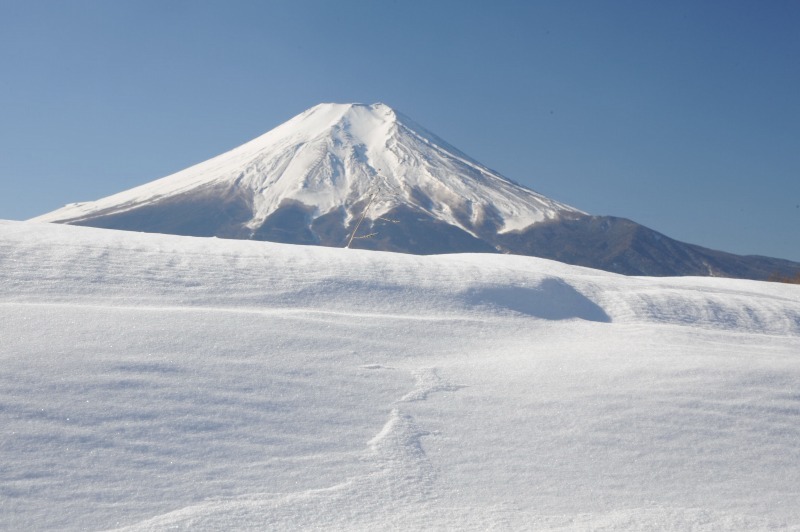 富士山画像作品